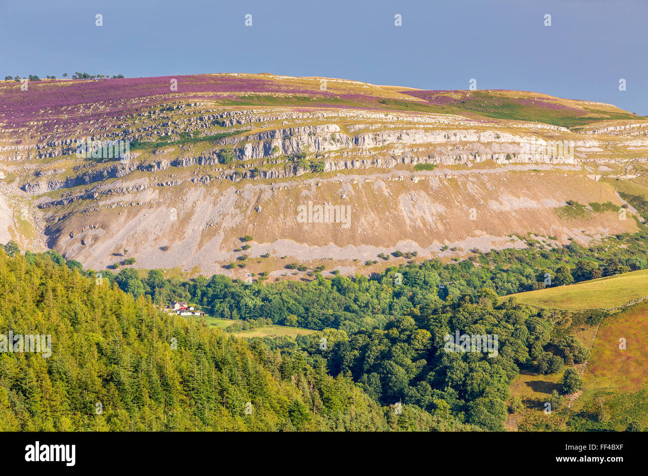 Montagna Maesyrychen visto da passare a ferro di cavallo, Llandegla, Denbighshire, Wales, Regno Unito, Europa. Foto Stock