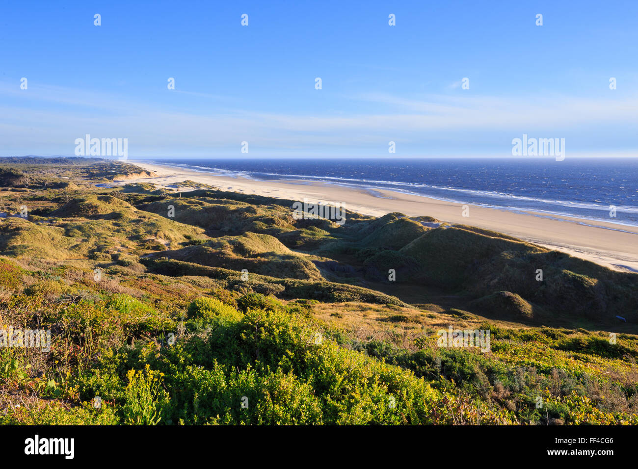 Spiaggia di Oregon visto da un alto punto di vantaggio con l'oceano e dune di sabbia. Foto Stock