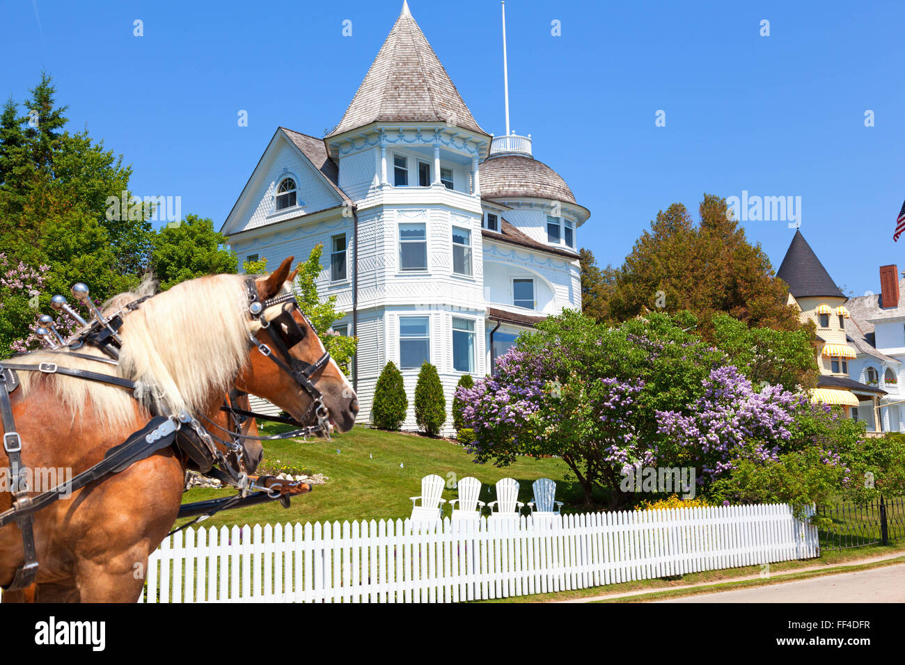 Cavalli e casa vittoriana sulla storica isola di Mackinac nel Michigan. Lilac bush in piena fioritura Foto Stock