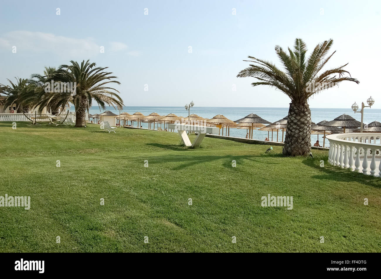 Palme e ombrelloni sulla spiaggia in Grecia. Foto Stock