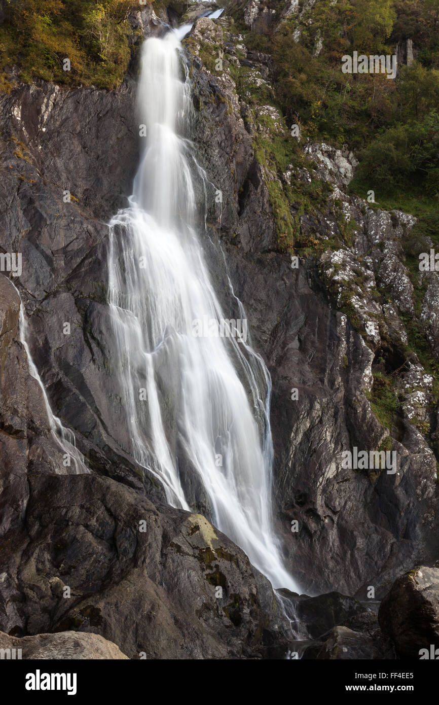 Aber cade in autunno Foto Stock