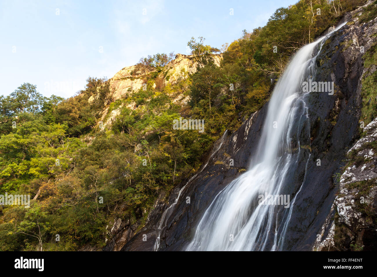 Aber cade in autunno Foto Stock