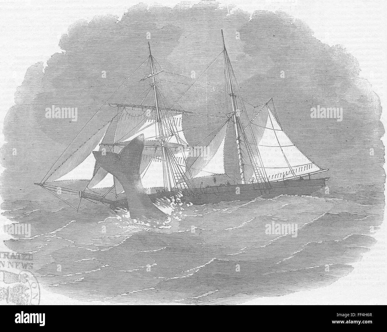 MASSACHUSETTS Schooner Waterloo colpita da balena 1855. Illustrated London News Foto Stock