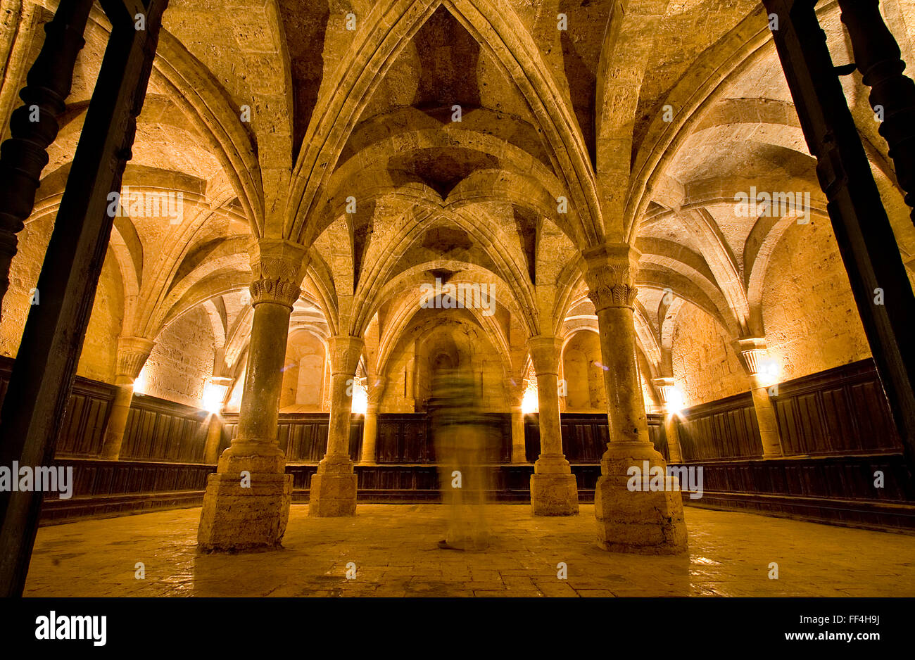 Sala Capitolare, monastero cistercense, Fitero, Navarra, Spagna Foto Stock