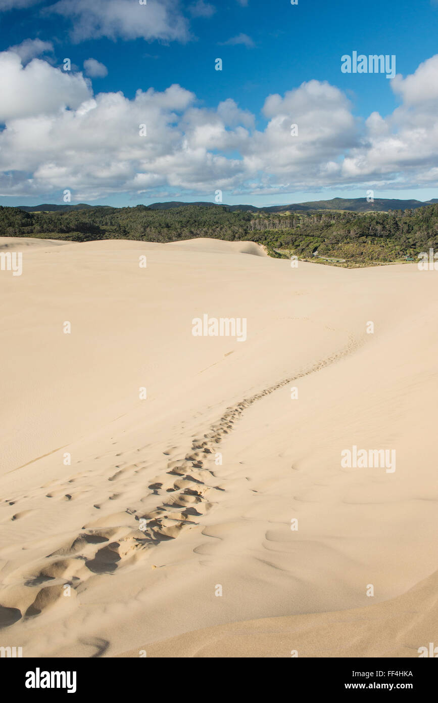 Piedi stampe su New Scenic 5 posti le dune di Te Paki nel lontano nord, Nuova Zelanda Foto Stock