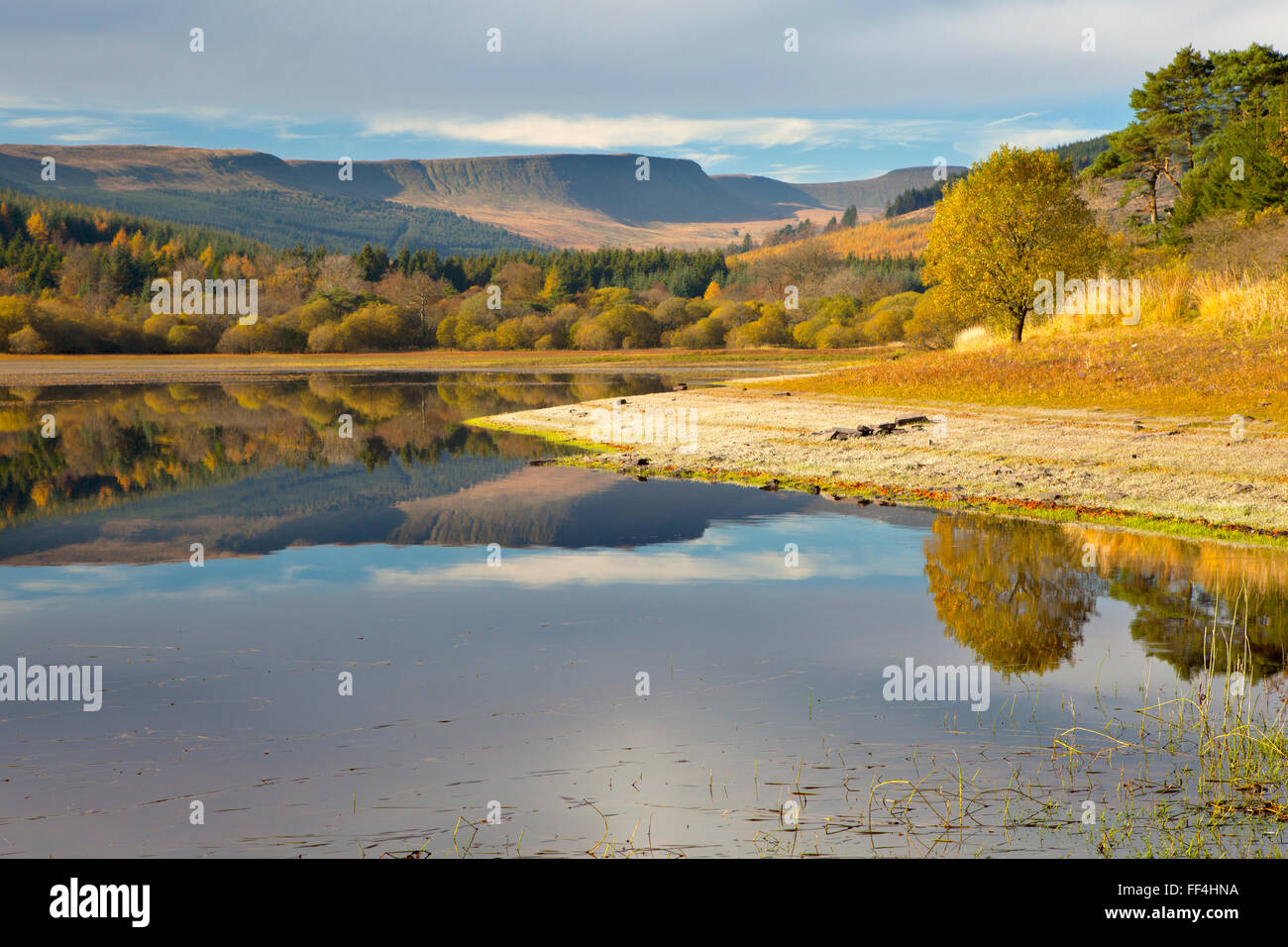 Serbatoio Pontsticill, Brecon Beacons, il Galles in autunno. Foto Stock