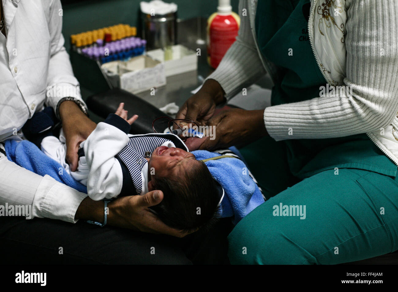 Caracas, Venezuela. 10 Febbraio, 2016. Un infermiere prende un campione di sangue per un neonato a La Salud Chacao laboratorio a Caracas, Venezuela, nel febbraio 10, 2016. Un totale di 31 organizzazioni ha annunciato mercoledì che condivideranno i risultati e i dati relativi alla corrente Zika Crisi e futuro emergenze sanitarie come rapidamente e apertamente come possibile. Credito: Boris Vergara/Xinhua/Alamy Live News Foto Stock