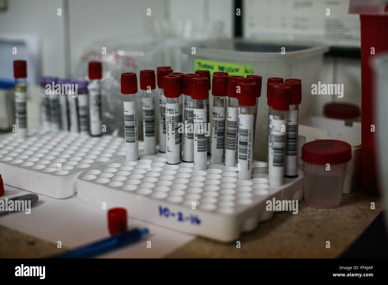 Caracas, Venezuela. 10 Febbraio, 2016. Le provette sono conservate a La Salud Chacao laboratorio a Caracas, Venezuela, nel febbraio 10, 2016. Un totale di 31 organizzazioni ha annunciato mercoledì che condivideranno i risultati e i dati relativi alla corrente Zika Crisi e futuro emergenze sanitarie come rapidamente e apertamente come possibile. Credito: Boris Vergara/Xinhua/Alamy Live News Foto Stock