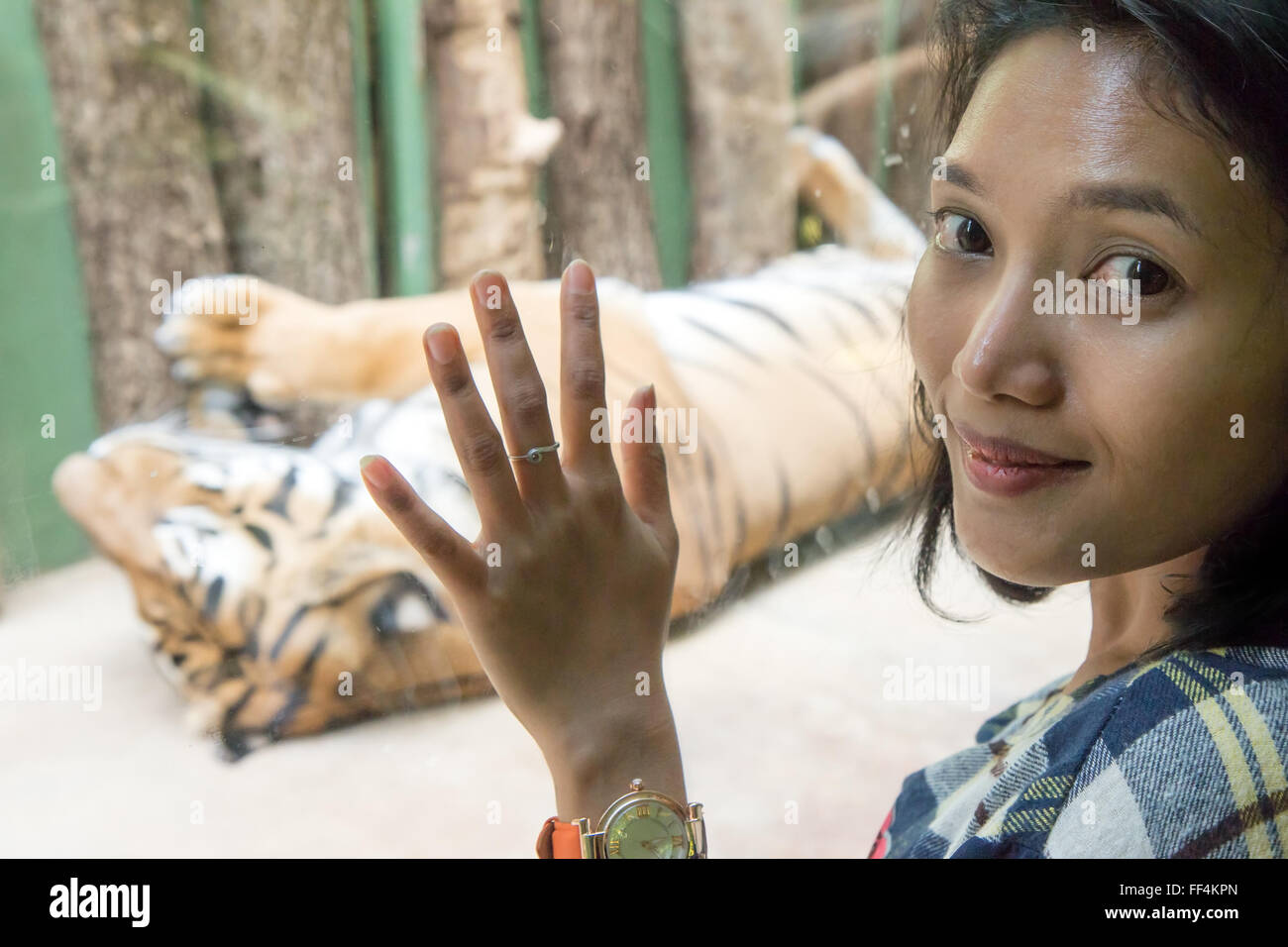 Donna di fronte della gabbia con una tigre Foto Stock
