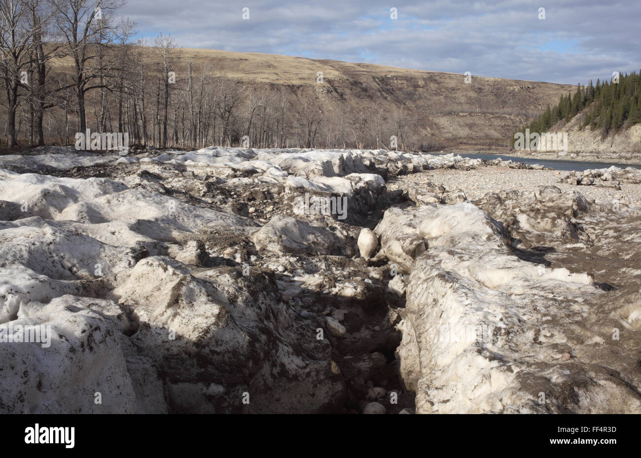 Ghiaccio e neve sulle rive del fiume Bow nel ranch di Glenbow Parco Provinciale (Alberta, Canada). Foto Stock