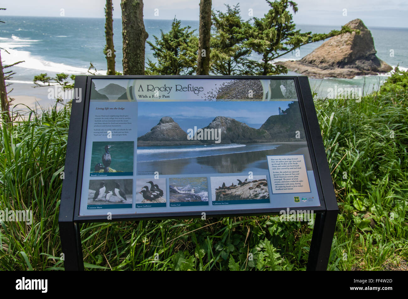 Segno che spiega la geologia locale vicino Firenze, Oregon Foto Stock