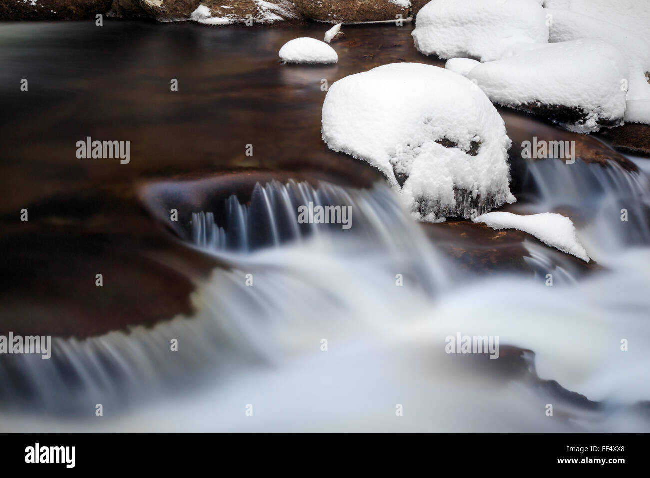 Acqua fredda del nord fiume Russian Bosco, snowy River, fiume con pietre nevoso in foresta Foto Stock