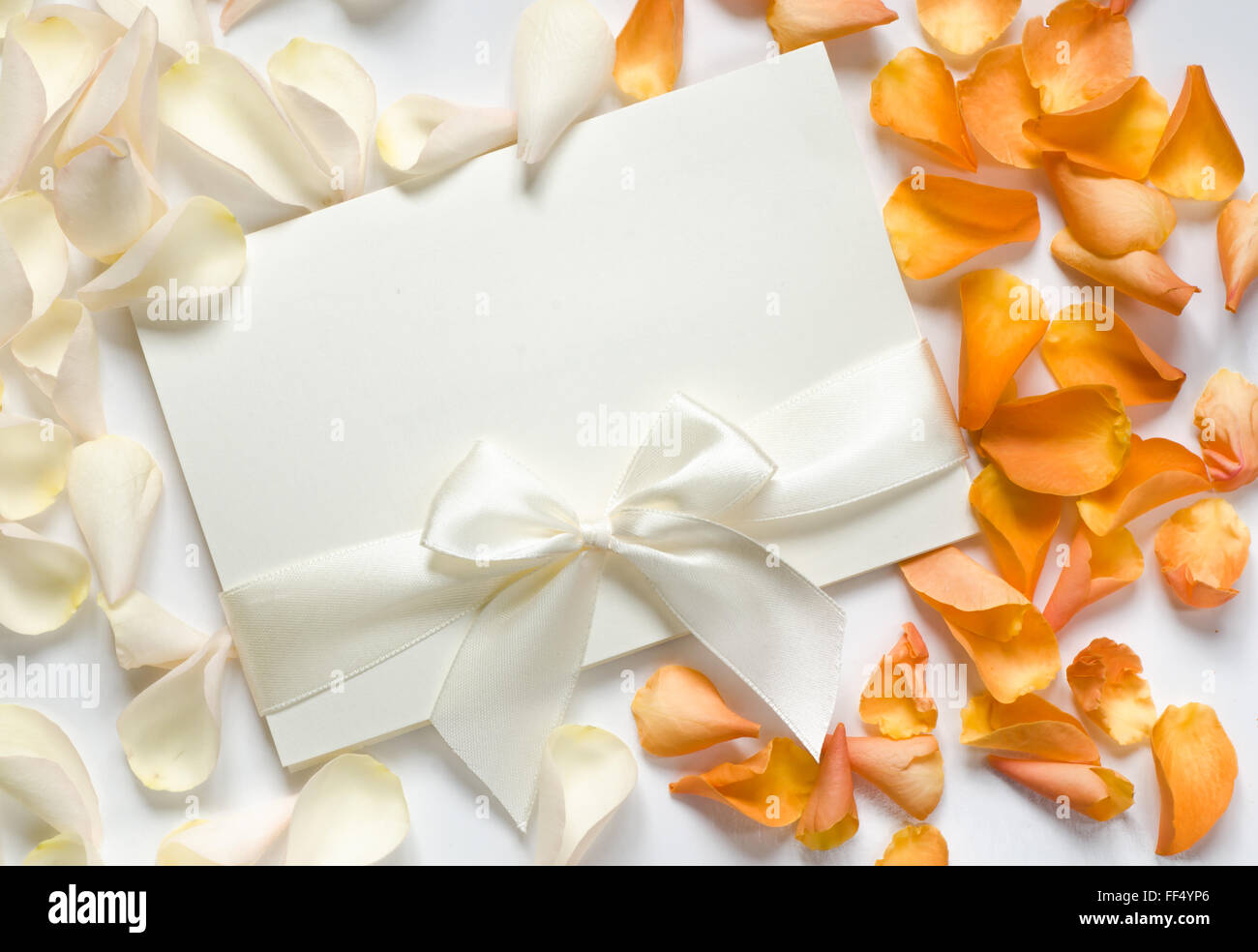 Vuoto carta bianca con nastro su petali di rose sullo sfondo Foto Stock