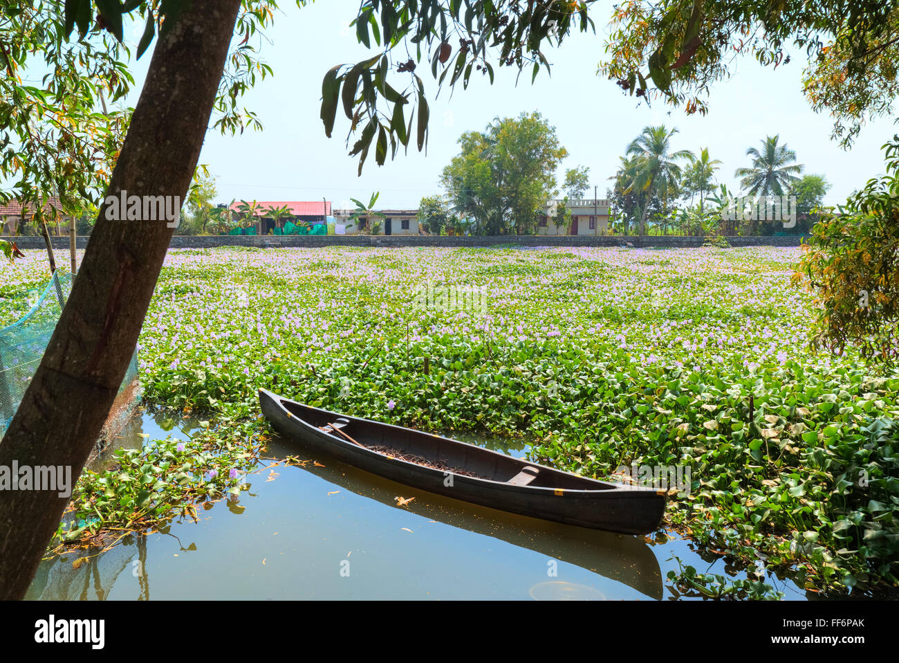 Alappuzha, lagune, Kerala, India del Sud, Asia Foto Stock
