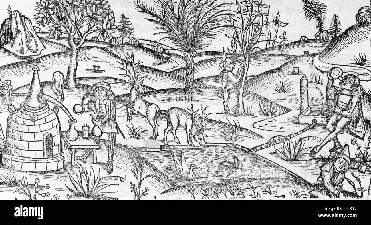 Alcol, distillazione, paesaggio con stalla, legno, da: Hieronymus Brunschwig (1450 ca - 1512 ca), 'Das buoch der rechten kunst zu destillieren', stampa: Johann Grüninger, Strasbourg, 1512, diritti-aggiuntivi-non-disponibili Foto Stock