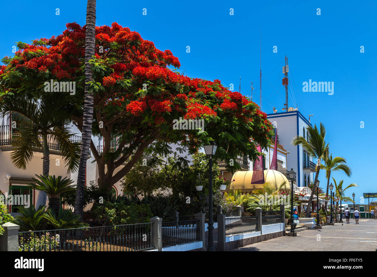 Puerto de Mogan, Gran Canaria Foto Stock