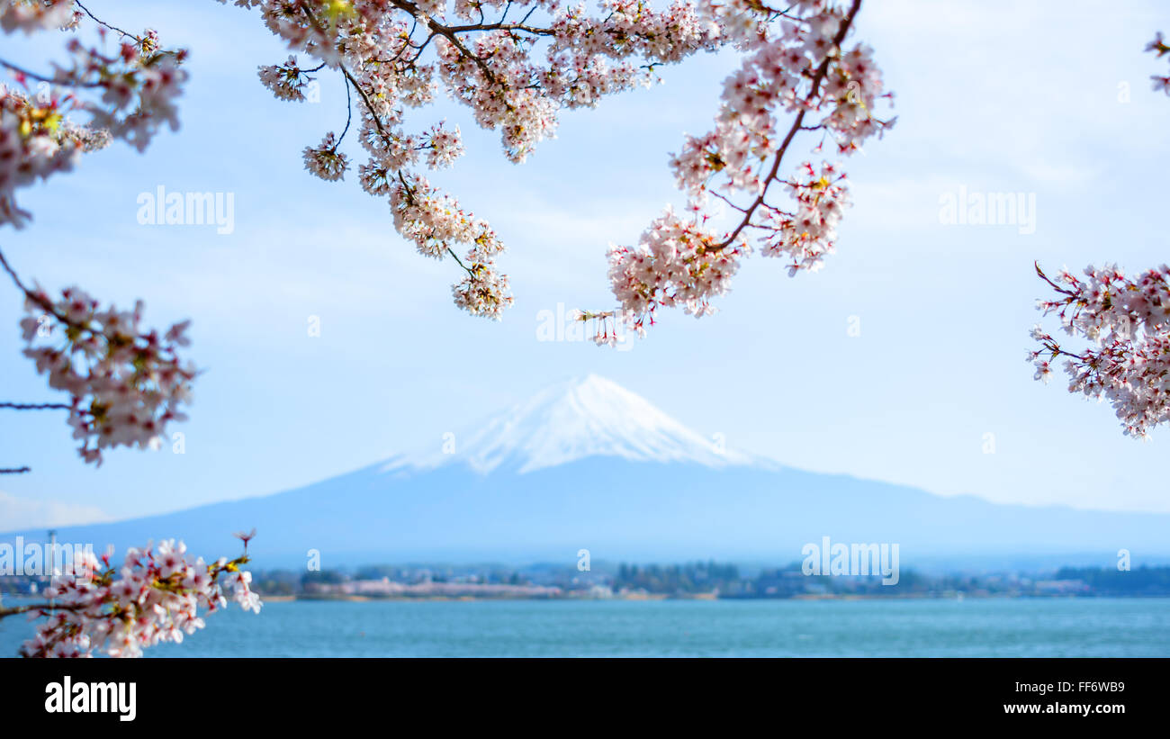 Fujisan vista dal lago Kawaguchiko, Giappone Foto Stock