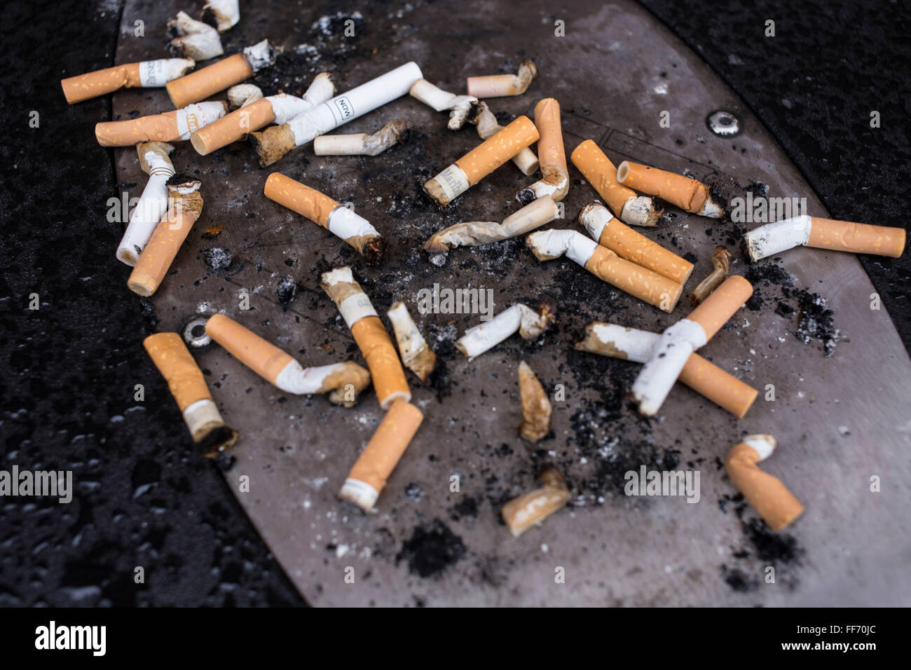 Una collezione di fumato mozziconi di sigaretta su un pubblico portacenere al di fuori della British Library di Londra, Regno Unito. Un divieto di fumo in Inghilterra, rendendo illegale fumare in tutti racchiusi nei luoghi pubblici in Inghilterra, è entrato in vigore il 1 luglio 2007 come una conseguenza della Health Act 2006. Foto Stock