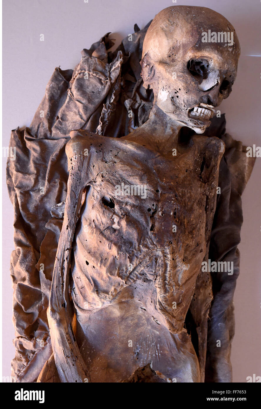 Una mummia completa (presumibilmente tra 30 e 40 anni di età, cultura guanche, tardo XIII ai primi del secolo XIV, Tenerife, Isole Canarie) è sul display come parte di una mostra su mummie da tutto il mondo per il 'Roemer- und Pelizaeus-Museum', un museo dedicato alla antica egiziana e antica arte peruviana a Hildesheim, Germania, 11 febbraio 2016. La mostra "umien der Welt" (le mummie del mondo) vetrine 26 completano le mummie provenienti da diverse culture di tutto il mondo. La mostra viene eseguito da 13 Febvruary al 28 febbraio 2016. Foto: Holger Hollemann/dpa Foto Stock