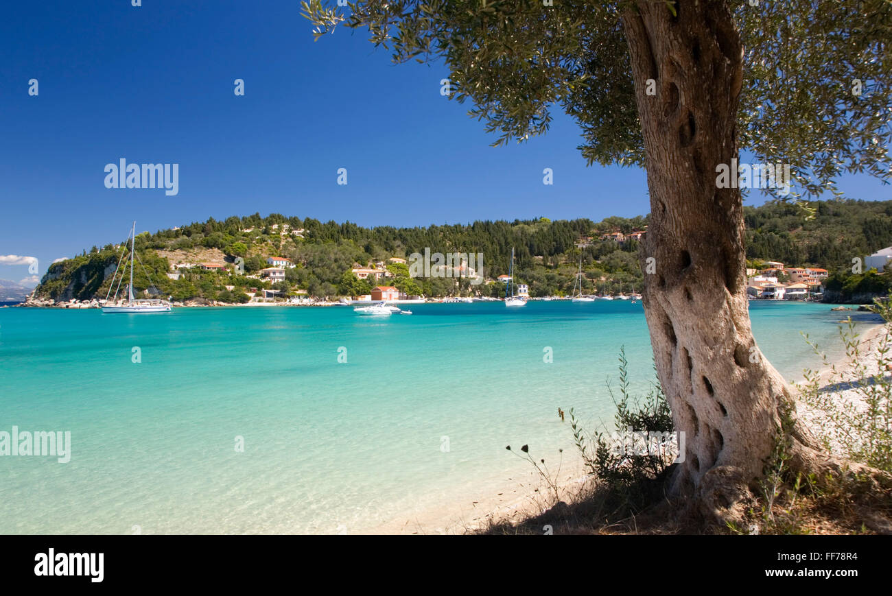 Lakka, Paxos, Isole Ionie, Grecia. Vista attraverso le acque turchesi della baia di Lakka. Foto Stock