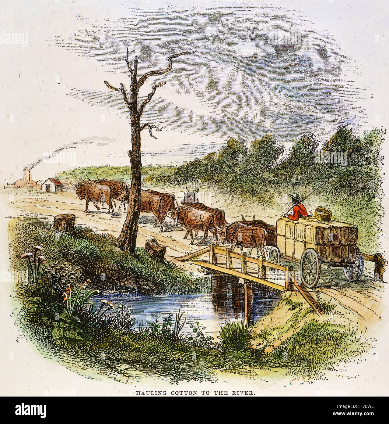 Alaggio cotone, 1854. /NHauling cotone per il fiume da una piantagione in antebellum America del sud. Incisione su legno, americano, 1854. Foto Stock