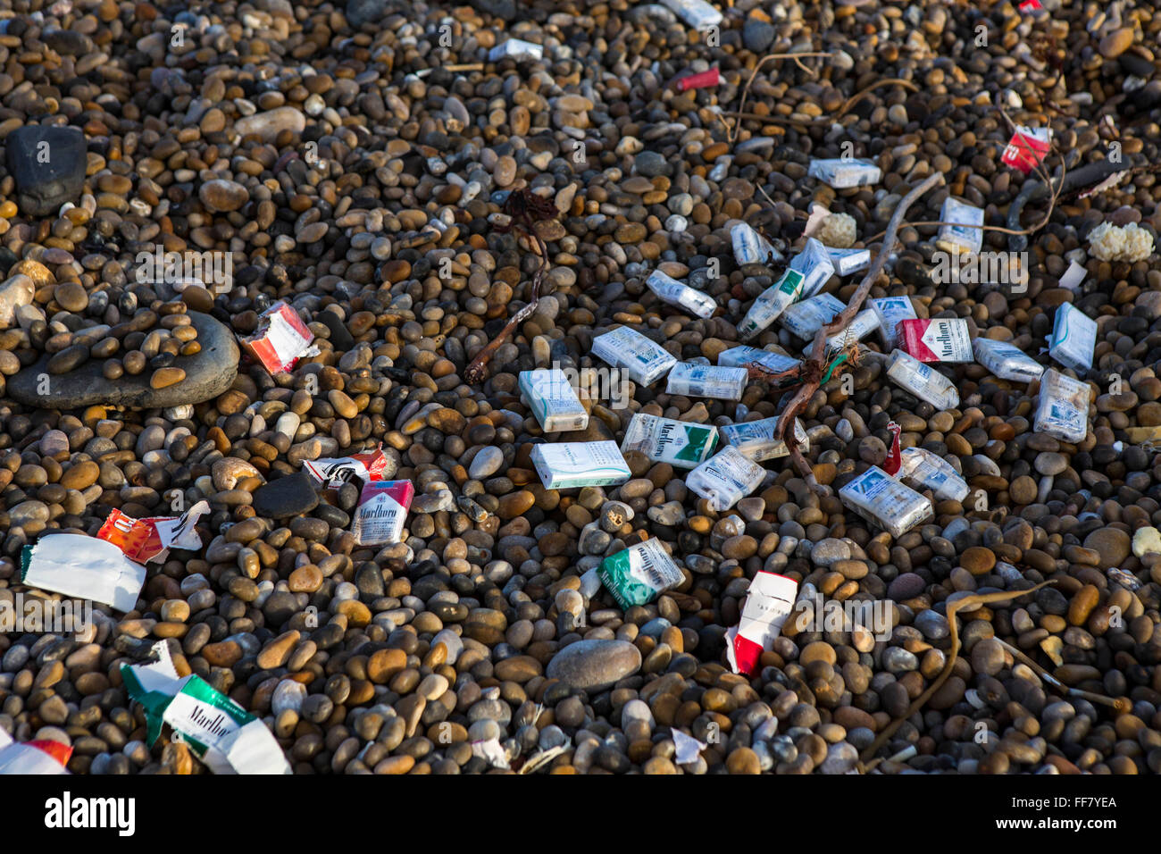 I pacchetti di sigarette che sono stati lavati fino a Chesil Beach a partire da un contenitore di carico nave incidente sulla Jurassic Coast di Dorset, Regno Unito. Foto Stock