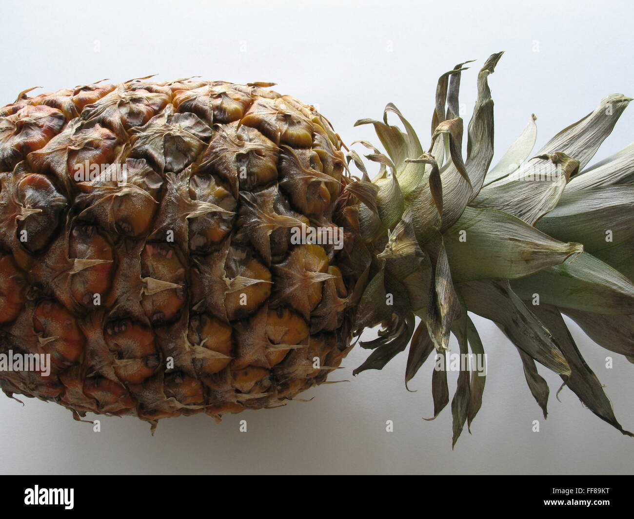 Pine-Apple su un tavolo Foto Stock