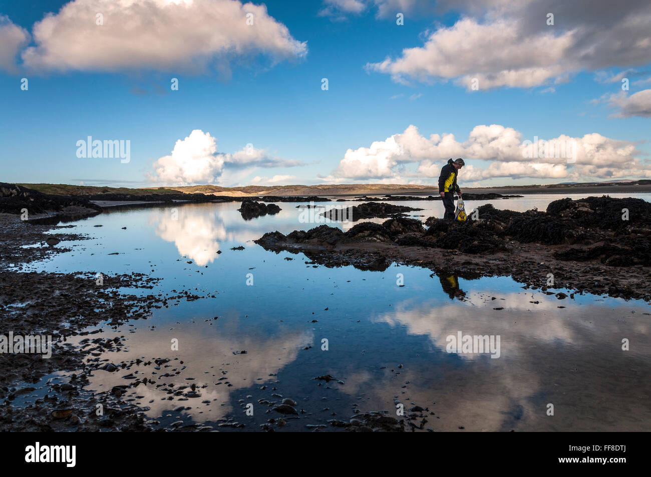 Ardara, County Donegal, Irlanda. 11 febbraio 2016. Un uomo raccoglie le cozze in una giornata di mare calmo sulla costa occidentale dell'Irlanda. In totale contrasto con i recenti tempeste. Credito: Richard Wayman/Alamy Live News Foto Stock