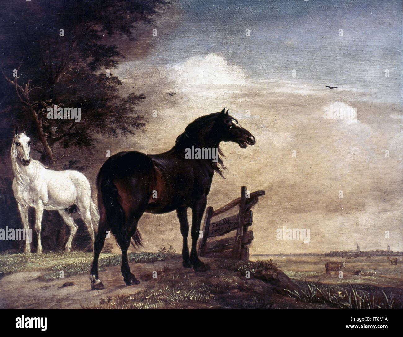 POTTER: cavalli, 1649. /NHorses in un campo. Olio su legno da Paolo Potter, 1649. Foto Stock