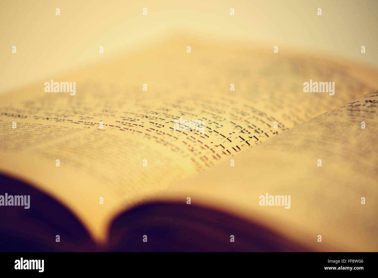 Bel vecchio libro ebraico del XIX sec. da Praga Foto Stock