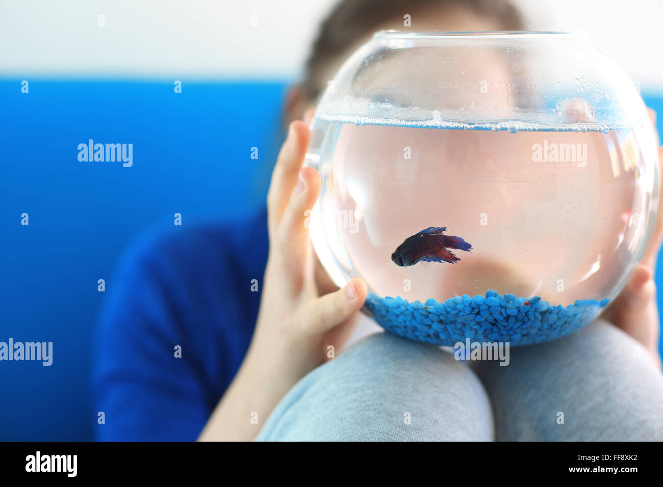 Voglio pet ... . Bambino in possesso di una sfera di cristallo blu con un pesce Foto Stock