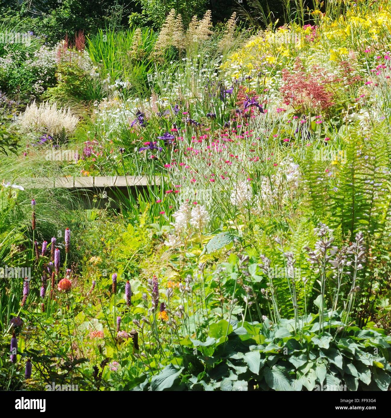 Giardino in fiore. Fiori in un giardino. Foto Stock