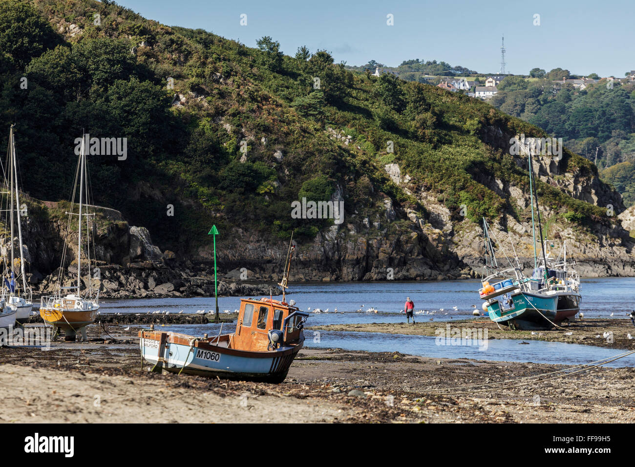 Barche a vela in basso a Fishguard Harbour, Pembrokeshire, Wales, Regno Unito Foto Stock