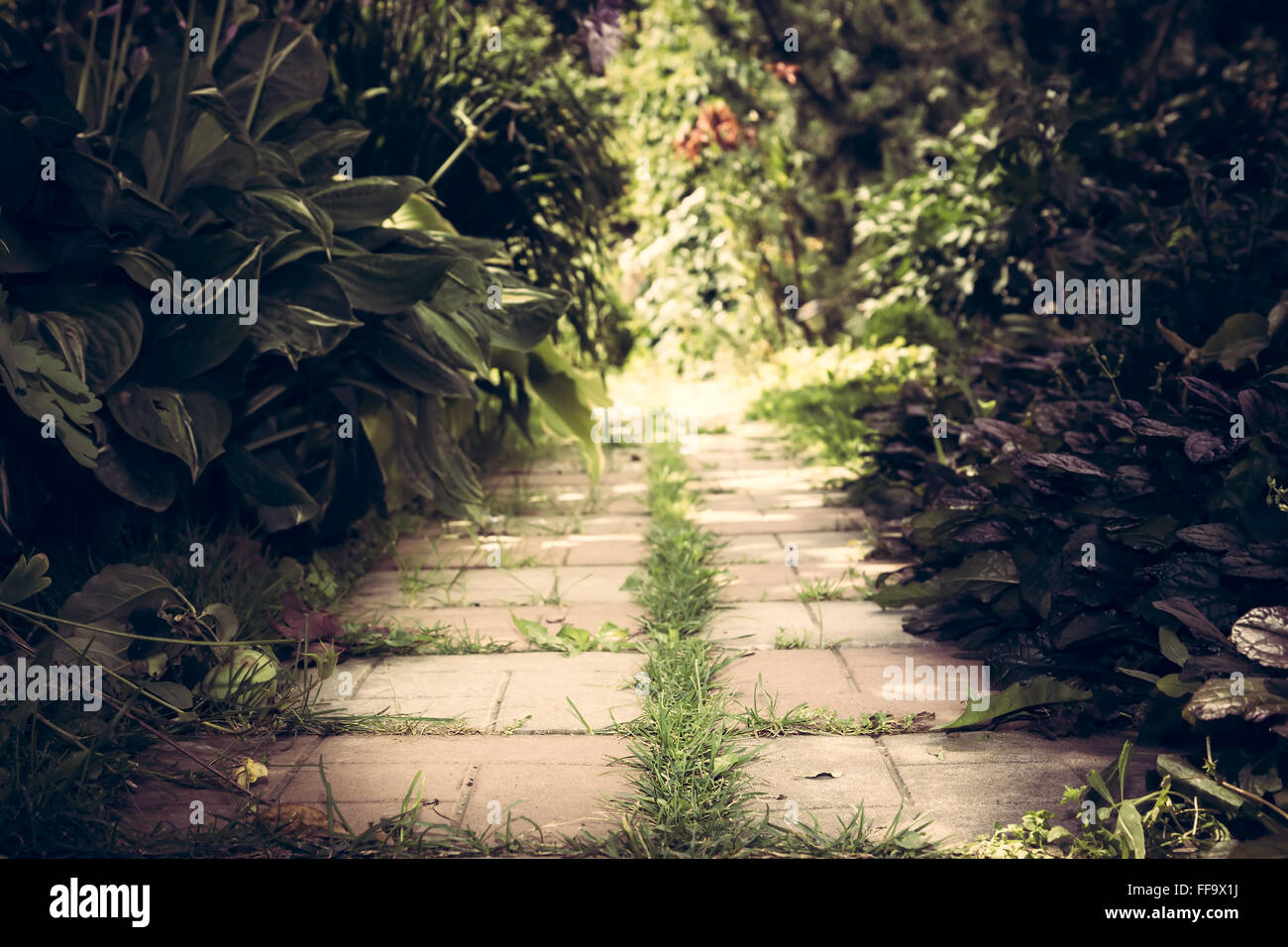 Sentiero giardino Foto Stock