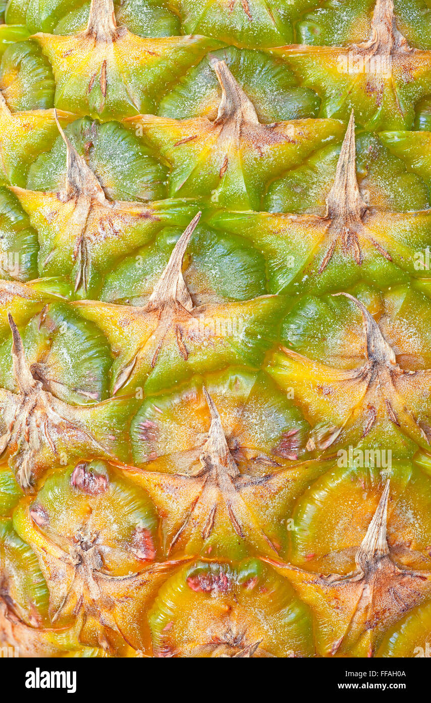 Chiudere l immagine di un ananas fresco della pelle. Foto Stock