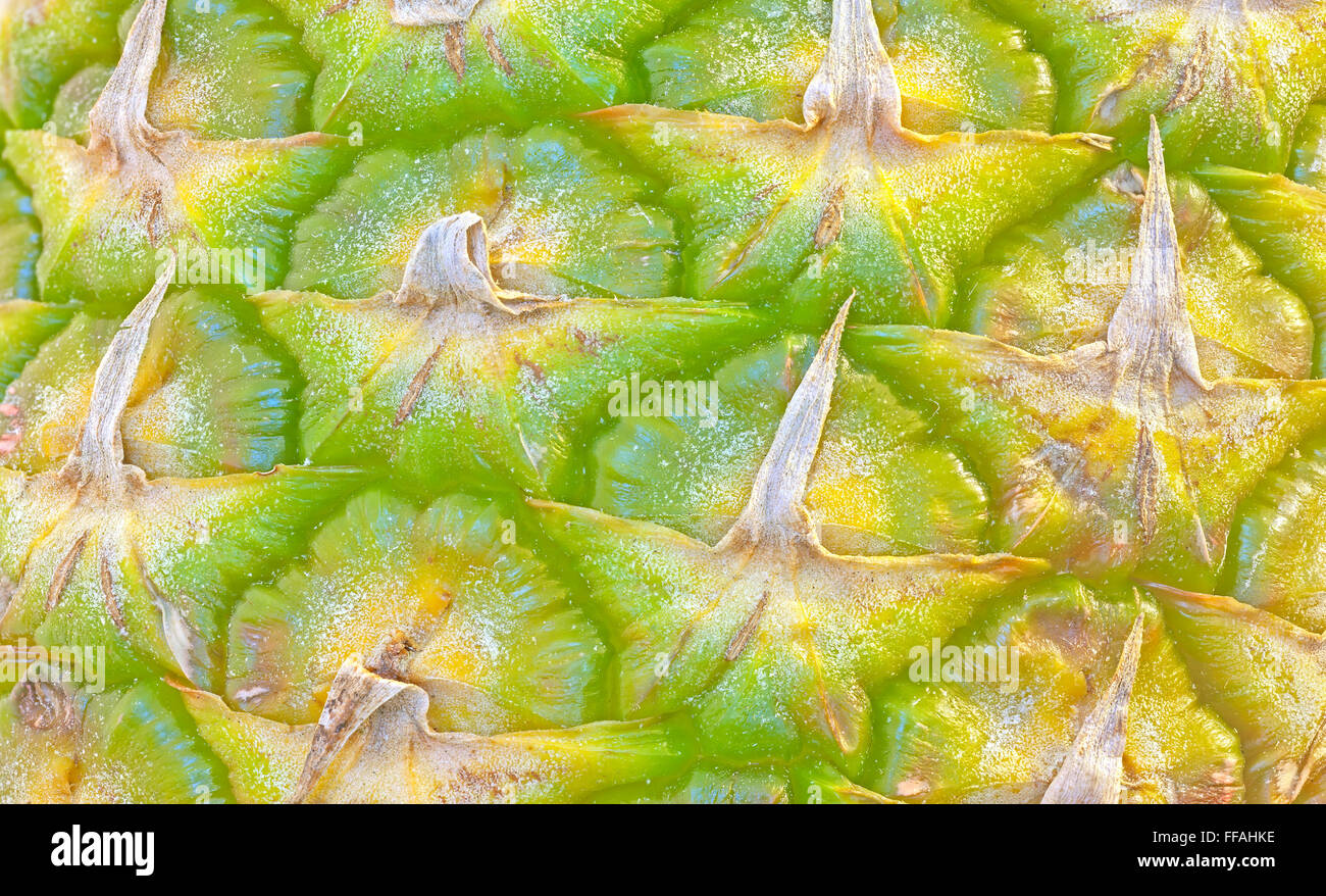 Chiudere l immagine di un ananas fresco della pelle. Foto Stock