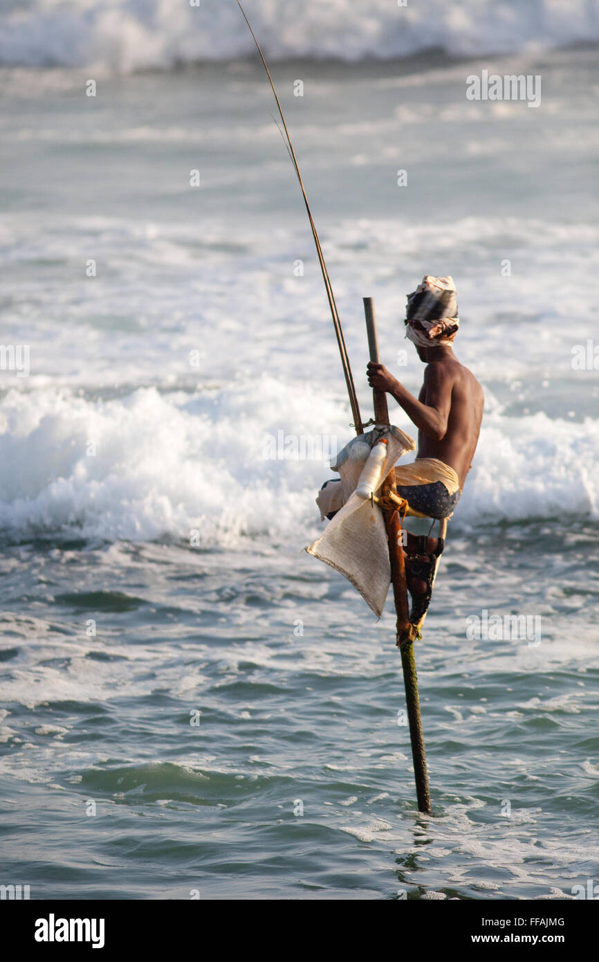 Stilt pescatori in Sri Lanka Foto Stock