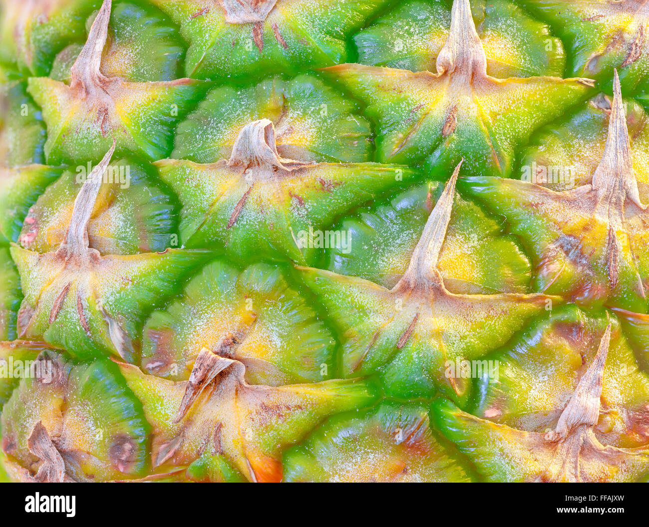 Chiudere l immagine di un ananas fresco della pelle. Foto Stock