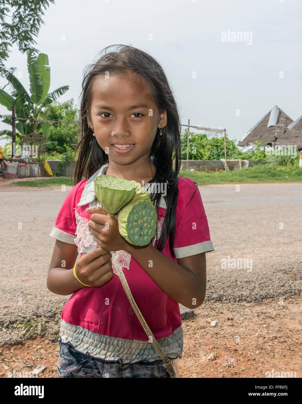 Ragazza giovane la vendita di semi di loto teste, Samatoa Lotus Farm, Sangat Siem Reap, Cambogia Foto Stock