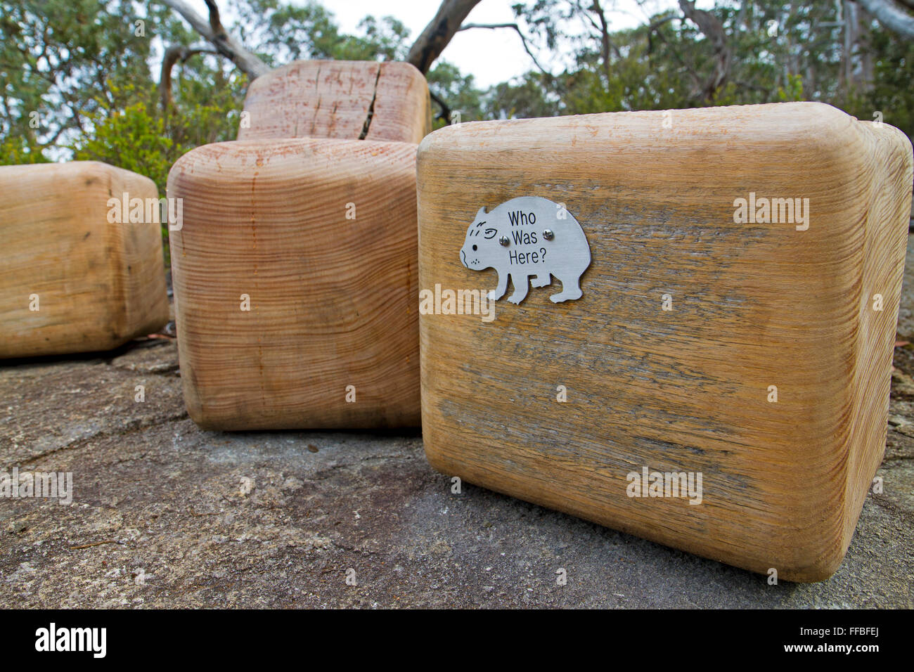 "Wombat scat' sedili, uno dei 36 dichiarazioni interpretative 'incontra' su tre promontori via Foto Stock