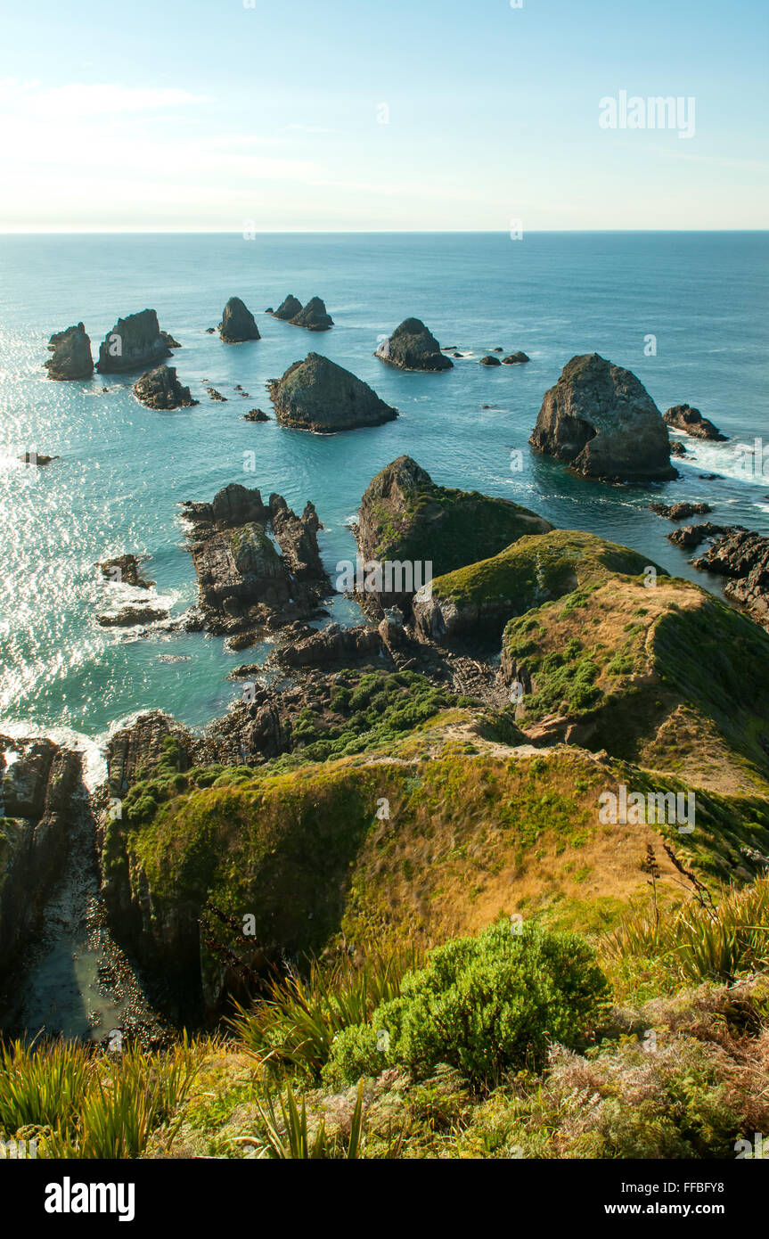 Nugget Point, il Catlins, Sud Otago, Nuova Zelanda Foto Stock