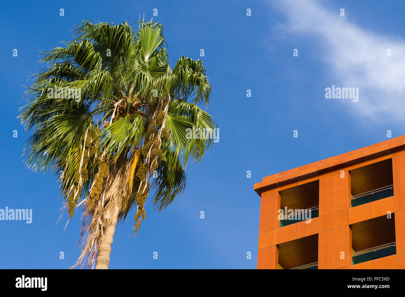 Palm Tree e apartment house contro il cielo blu, immobiliare di concetto Foto Stock