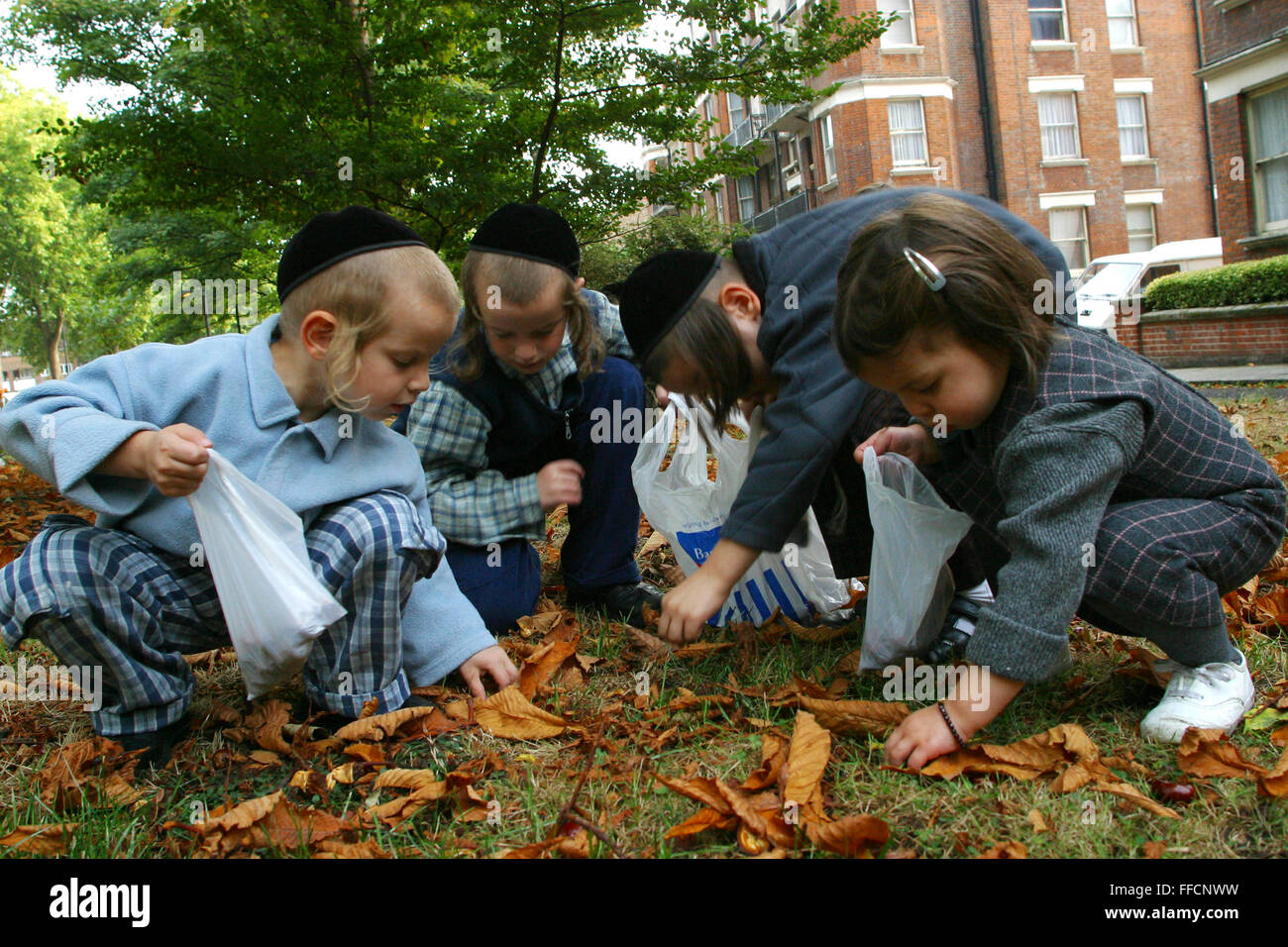 In un giardino comunale di Stamford Hill blocco di appartamenti 3 giovani ortodossi i ragazzi ebrei e uno ortodosso ragazza ebrea raccogliere conkers da terra e metterli in sacchetti di plastica. Foto Stock