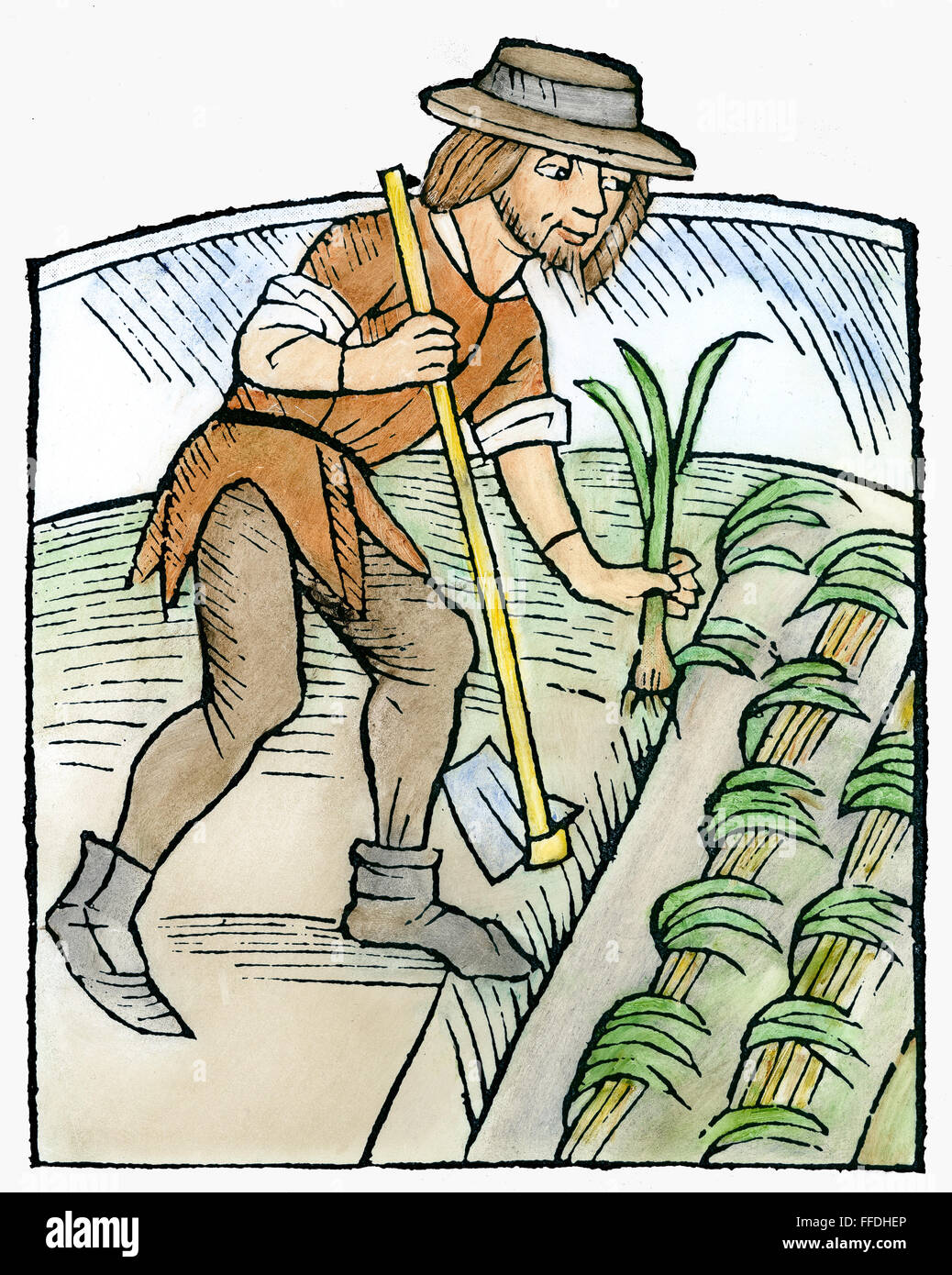 Giardiniere piantare porri. /NWoodcut da 'Dcome Buch von Pflantzung' di Petrus de Crescentiis, Strassburg, Germania, 1512. Foto Stock