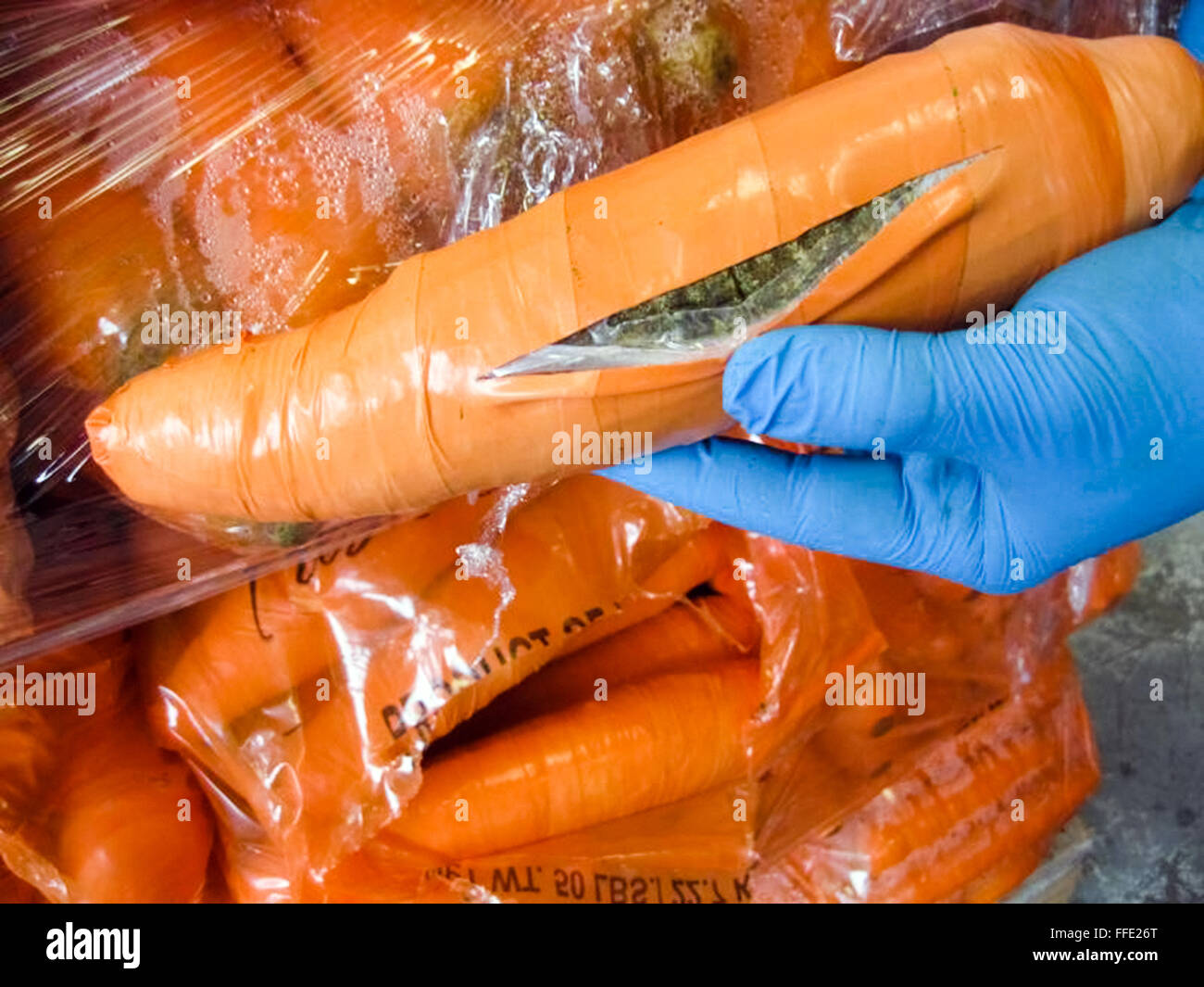 Una partita di carote fresche che nascondono marijuana al Pharr-Reynosa International Bridge nel gennaio 2016 fotografia della dogana e della protezione dei confini degli Stati Uniti che mostra una spedizione commerciale di marijuana nascosta in pacchi mascherati da carote fresche al confine tra Stati Uniti e Messico. Foto Stock
