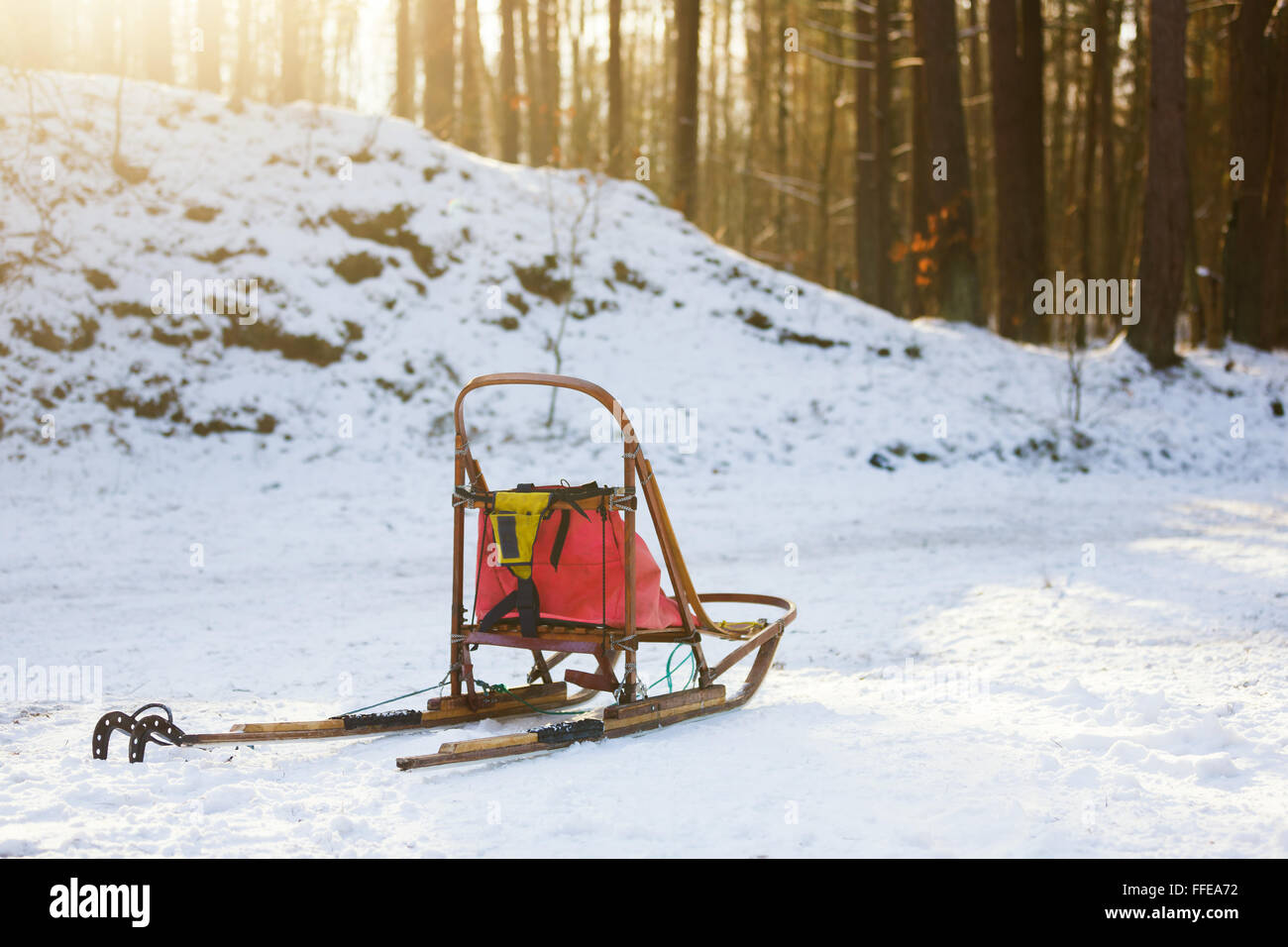 Slitte per Sled Dog sulla neve nella foresta Foto Stock