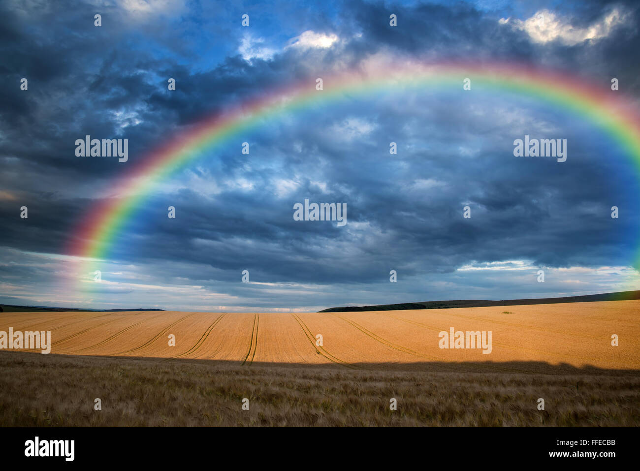 Incredibile paesaggio di campagna campo di grano in estate il tramonto con rainbow Foto Stock