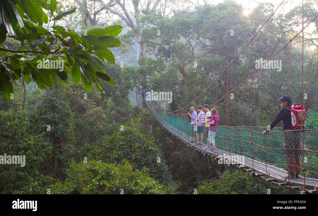 I turisti su un pontile di Danum Valley, Sabah, Malaysia Foto Stock
