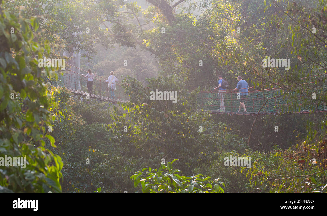 I turisti su un pontile di Danum Valley, Sabah, Malaysia Foto Stock