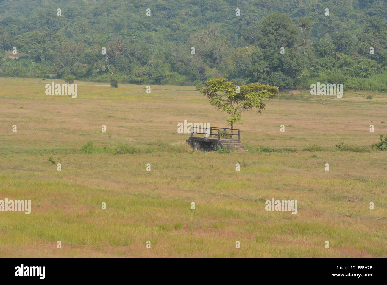 Goa, India - 23 Ottobre 2015 - i membri della famiglia a lavorare con le loro mani su campi in Goa, India. Foto Stock